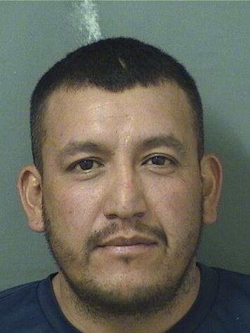  MARCOS ANTONIO HERNANDEZ GARCIA Results from Palm Beach County Florida for  MARCOS ANTONIO HERNANDEZ GARCIA