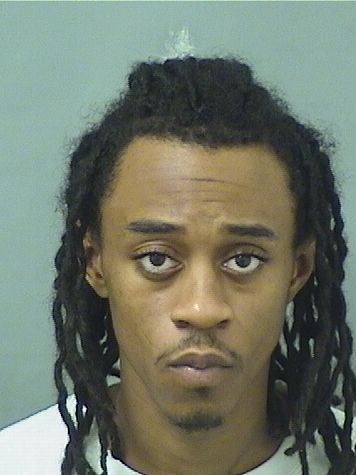  DANTE MIGEL BRITTON Results from Palm Beach County Florida for  DANTE MIGEL BRITTON