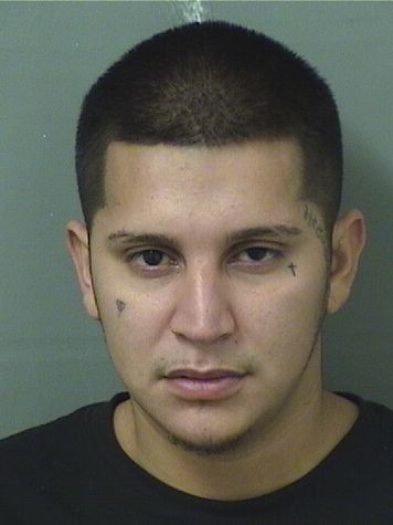  CHRISTOPHER JESUS OSEJO Results from Palm Beach County Florida for  CHRISTOPHER JESUS OSEJO