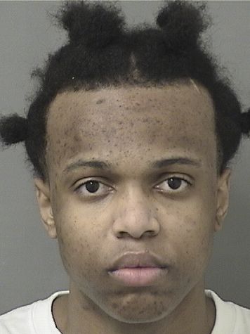  DIMITRI HOLLAND Photo For  DIMITRI HOLLAND