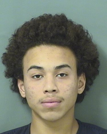  AMOS ALEXANDER SHEPARD Results from Palm Beach County Florida for  AMOS ALEXANDER SHEPARD