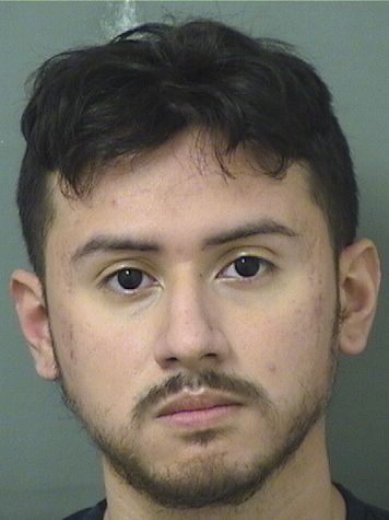  MANUEL ALEJANDRO MARTINEZ Results from Palm Beach County Florida for  MANUEL ALEJANDRO MARTINEZ