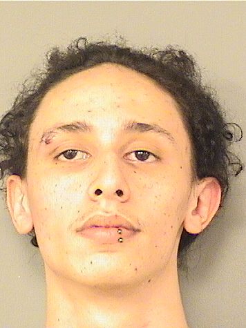  TRISTON B TRAMMELL Results from Palm Beach County Florida for  TRISTON B TRAMMELL