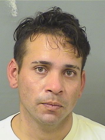  DENNIS MEJIA Resultados de la busqueda para Palm Beach County Florida para  DENNIS MEJIA