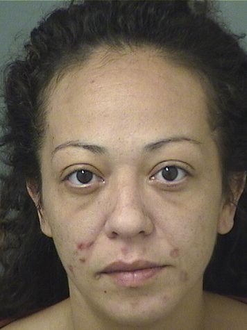  STEPHANIE HERNANDEZ Results from Palm Beach County Florida for  STEPHANIE HERNANDEZ