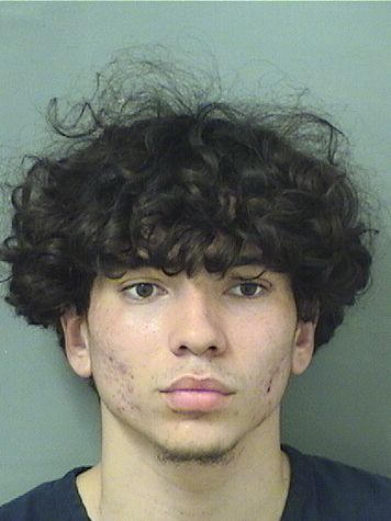  DANIEL VALENTINO VARELA Results from Palm Beach County Florida for  DANIEL VALENTINO VARELA