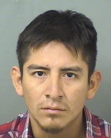  OSVIN OTONIEL AGTUNVASQUEZ Results from Palm Beach County Florida for  OSVIN OTONIEL AGTUNVASQUEZ