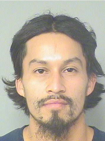  LUIS ALVAREZ Resultados de la busqueda para Palm Beach County Florida para  LUIS ALVAREZ