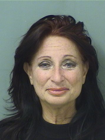  CINDY FALCO DICORRADO Results from Palm Beach County Florida for  CINDY FALCO DICORRADO