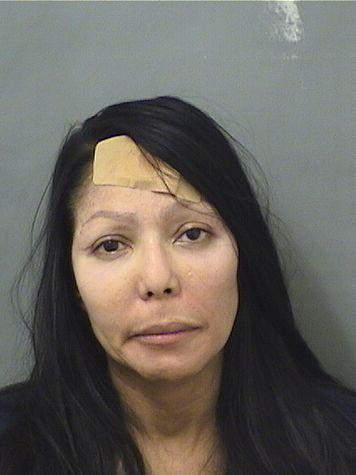  ANGELA MICHELLE KELLY Resultados de la busqueda para Palm Beach County Florida para  ANGELA MICHELLE KELLY