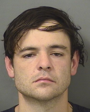  CHRISTIAN TYLER VANCLEAVE Results from Palm Beach County Florida for  CHRISTIAN TYLER VANCLEAVE