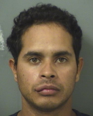  CARLOS JUAN DELVALLE Results from Palm Beach County Florida for  CARLOS JUAN DELVALLE