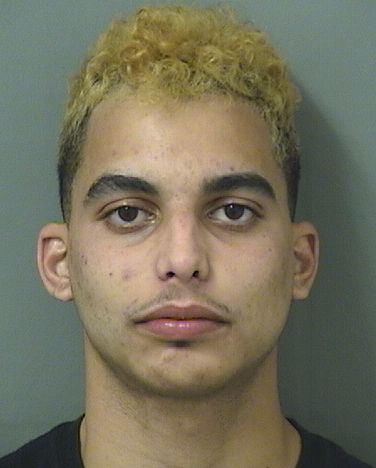  ALEJANDRO RAFAEL TALAVERA Results from Palm Beach County Florida for  ALEJANDRO RAFAEL TALAVERA