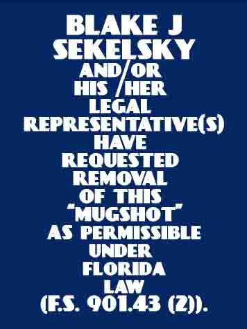 BLAKE J SEKELSKY Results from Palm Beach County Florida for  BLAKE J SEKELSKY