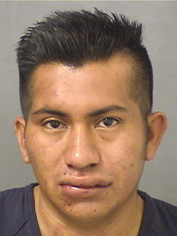 OVIDIO REYNALDO LOPEZVASQUEZ Results from Palm Beach County Florida for OVIDIO REYNALDO LOPEZVASQUEZ OVIDIO REYNALDO LOPEZVASQUEZ Results from Palm Beach County Florida for OVIDIO REYNALDO LOPEZVASQUEZ