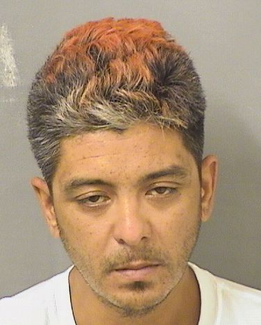  NIKKI CRUZLOPEZ Results from Palm Beach County Florida for  NIKKI CRUZLOPEZ