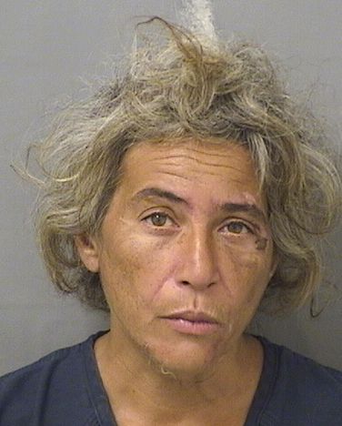  WENDY A TOGNACCI Photo