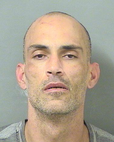  JOSHUA HARRISON OZER Results from Palm Beach County Florida for  JOSHUA HARRISON OZER