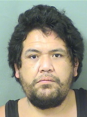  JOSE MIGUEL DELACRUZ Results from Palm Beach County Florida for  JOSE MIGUEL DELACRUZ