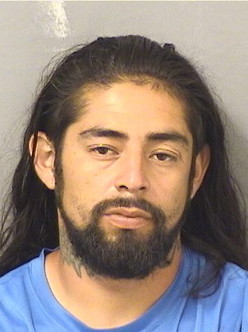  ALEJANDRO MEDINASANCHEZ Results from Palm Beach County Florida for  ALEJANDRO MEDINASANCHEZ