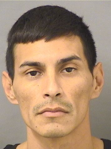  VICTOR MARTINEZ Results from Palm Beach County Florida for  VICTOR MARTINEZ