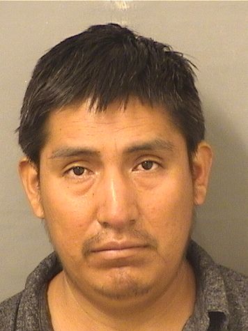  EDY ISRAEL VELASQUEZMATEO Resultados de la busqueda para Palm Beach County Florida para  EDY ISRAEL VELASQUEZMATEO