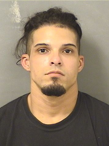  GABRIEL I SARZUELA Results from Palm Beach County Florida for  GABRIEL I SARZUELA