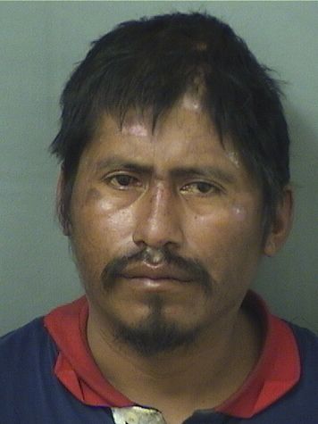 JOSE MAZARIEGODIAZ Photos For  JOSE MAZARIEGODIAZ  JOSE MAZARIEGODIAZ Photo For  JOSE MAZARIEGODIAZ