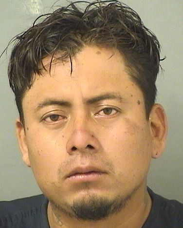  BRAYAN GUZMANQUINTERO Photo