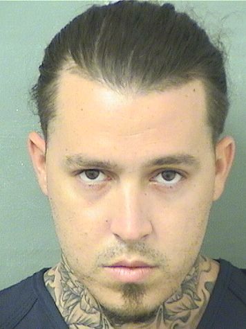  CHRISTOPHER BRENT FERNANDEZ Results from Palm Beach County Florida for  CHRISTOPHER BRENT FERNANDEZ