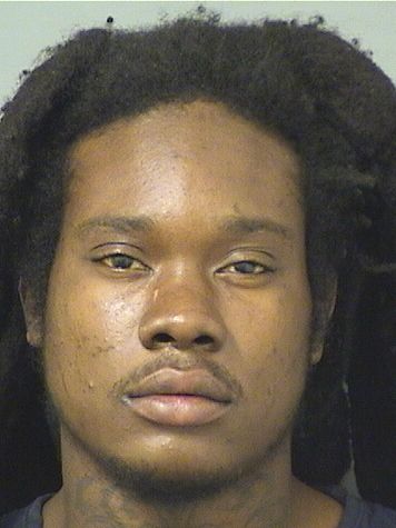  DEVIN ARNELL J MILLER Results from Palm Beach County Florida for  DEVIN ARNELL J MILLER