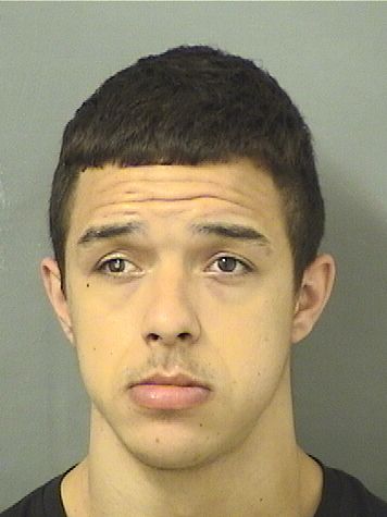  MICHAEL MARTINEZ Results from Palm Beach County Florida for  MICHAEL MARTINEZ