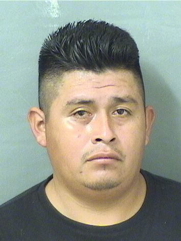  REYES C HERNANDEZ Results from Palm Beach County Florida for  REYES C HERNANDEZ