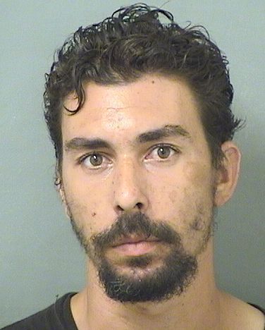  MICHAEL VINCENT VEIGA Results from Palm Beach County Florida for  MICHAEL VINCENT VEIGA
