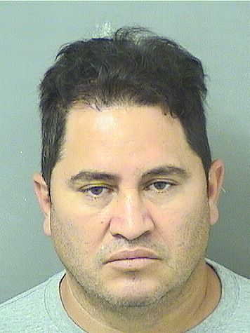  JORGE ENRIQUE MARTINEZ Results from Palm Beach County Florida for  JORGE ENRIQUE MARTINEZ