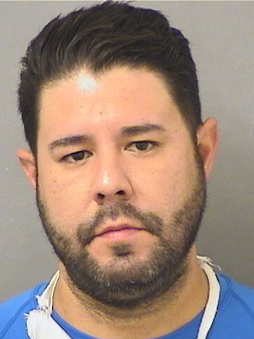  DAMERSON ESPINOZA Results from Palm Beach County Florida for  DAMERSON ESPINOZA