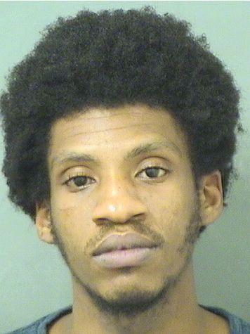  GOLDBERG CONSTANT Resultados de la busqueda para Palm Beach County Florida para  GOLDBERG CONSTANT