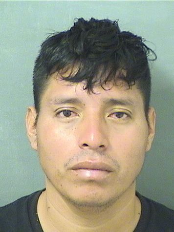  RODOLFO VICENTE Results from Palm Beach County Florida for  RODOLFO VICENTE