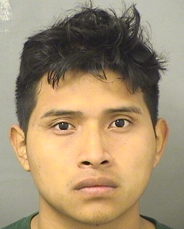  TOMAS LORENZO TOMAS Photo