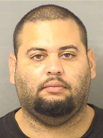  MICHAEL ANTHONY CRUZ Results from Palm Beach County Florida for  MICHAEL ANTHONY CRUZ