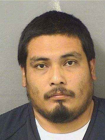  JORGELUIS GASPAR Results from Palm Beach County Florida for  JORGELUIS GASPAR