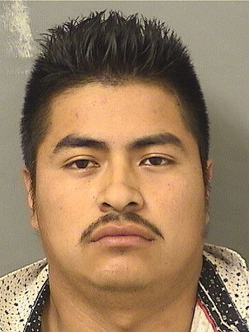  ELDER GABRIELGONZALEZ Results from Palm Beach County Florida for  ELDER GABRIELGONZALEZ