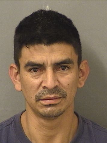 ERICK G PEREZMARROQUIN Photos For  ERICK G PEREZMARROQUIN  ERICK G PEREZMARROQUIN Photo For  ERICK G PEREZMARROQUIN