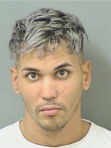  DAYRON SILVAPEREZ Results from Palm Beach County Florida for  DAYRON SILVAPEREZ