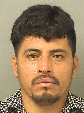  DAVID I RONDAN Results from Palm Beach County Florida for  DAVID I RONDAN