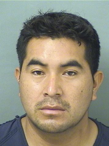  JOSE E MENDEZSHANCHEZ Resultados de la busqueda para Palm Beach County Florida para  JOSE E MENDEZSHANCHEZ