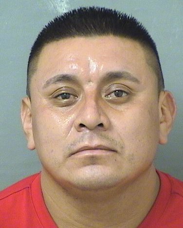  JOSE LUIS SOLIS HERNANDEZ Results from Palm Beach County Florida for  JOSE LUIS SOLIS HERNANDEZ