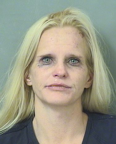  ASHLEY MARIE BREWSTER Results from Palm Beach County Florida for  ASHLEY MARIE BREWSTER