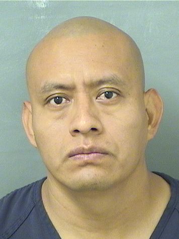  CAMILO ALEXANDER PELICO VICENTE Resultados de la busqueda para Palm Beach County Florida para  CAMILO ALEXANDER PELICO VICENTE