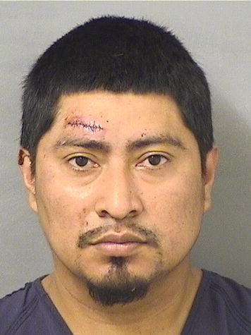  LUIS QUEBEDO GARCIA Resultados de la busqueda para Palm Beach County Florida para  LUIS QUEBEDO GARCIA